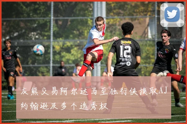 灰熊交易阿尔达马至独行侠换取AJ约翰逊及多个选秀权